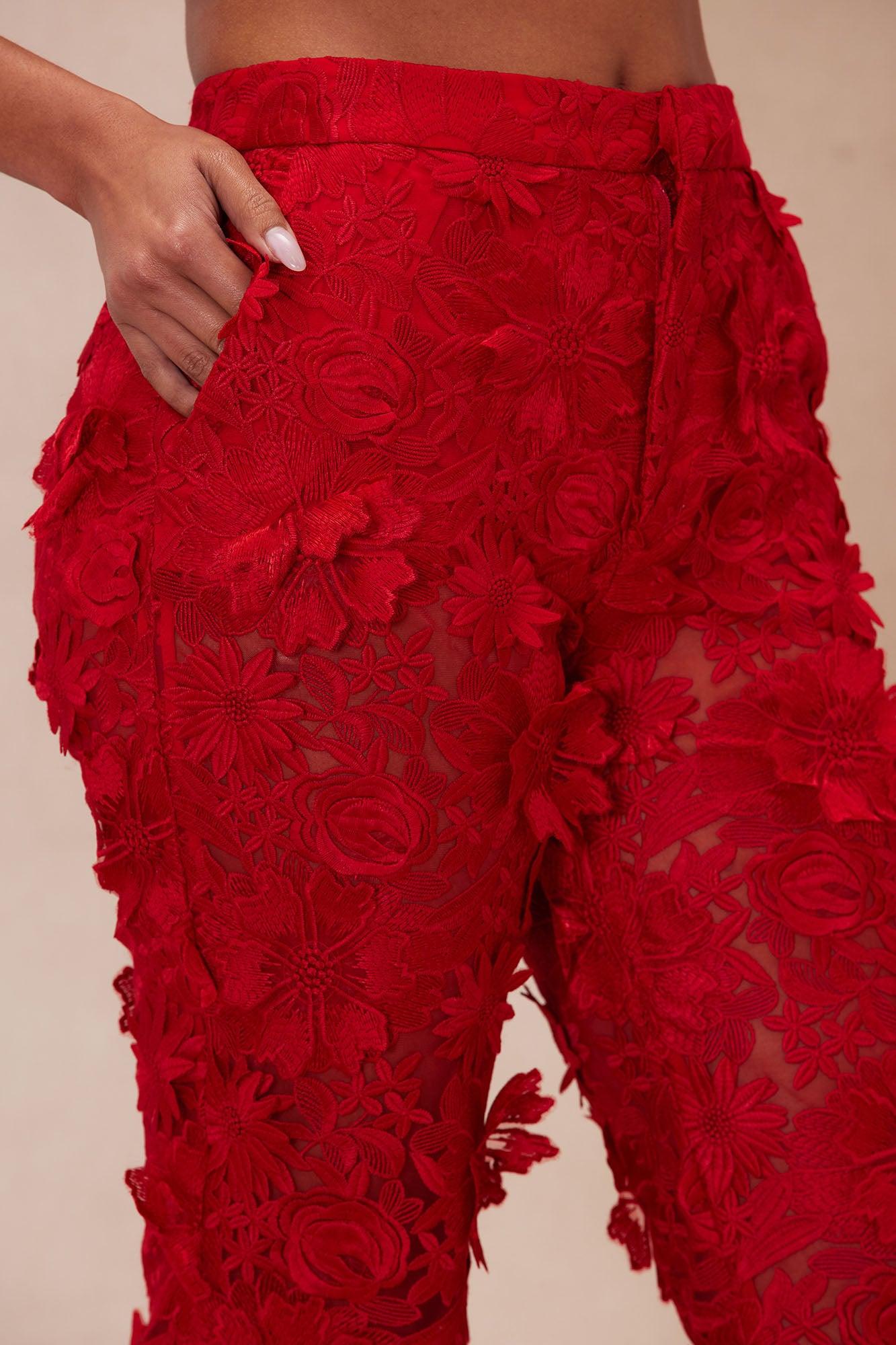 Denise Embroidered Pants - Red Product Image