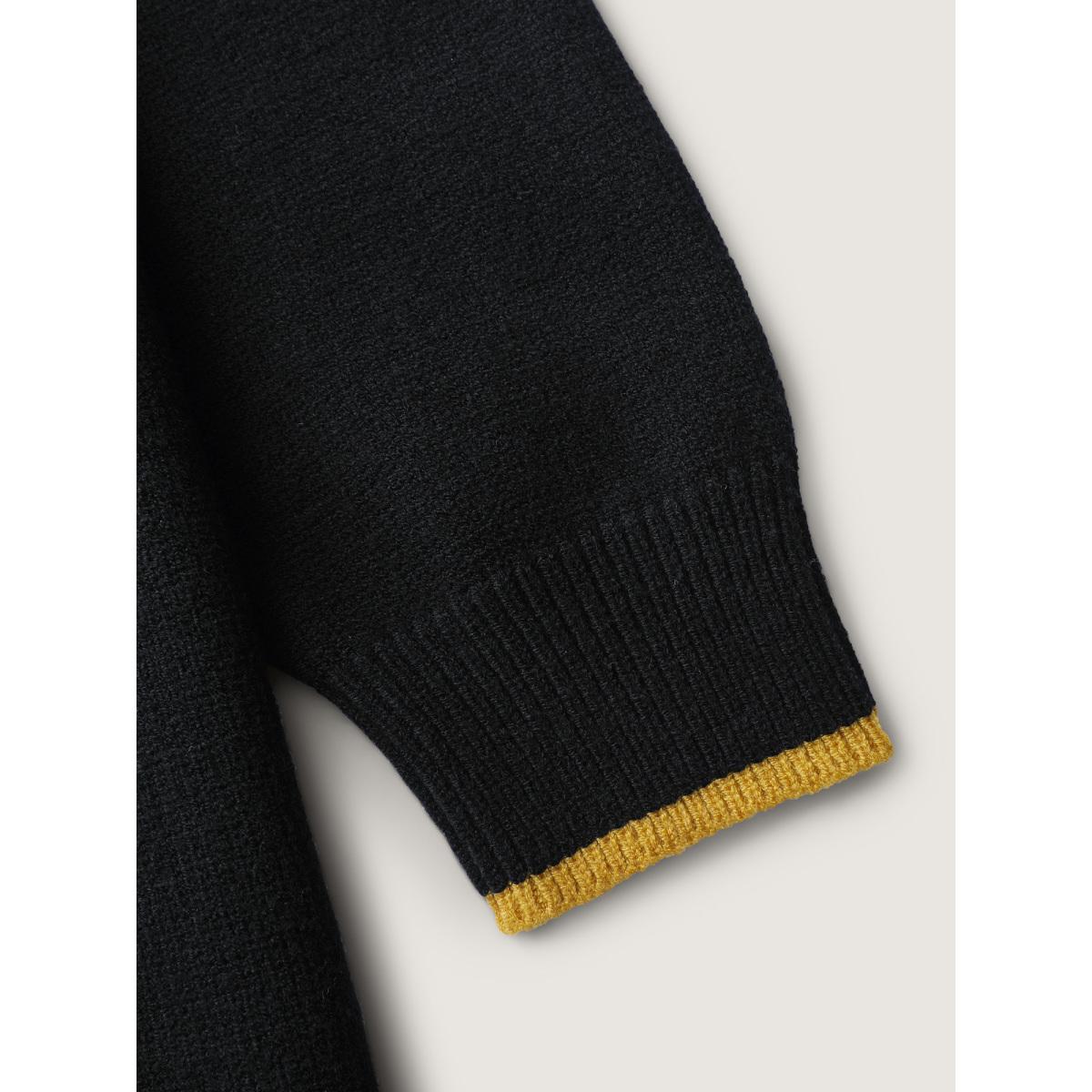 Plus Size Puppy In Rain Jacquard Contrast Pullover Black Women Playful Loose Long Sleeve Round Neck Casual Pullovers BloomChic 22-24/3X Product Image