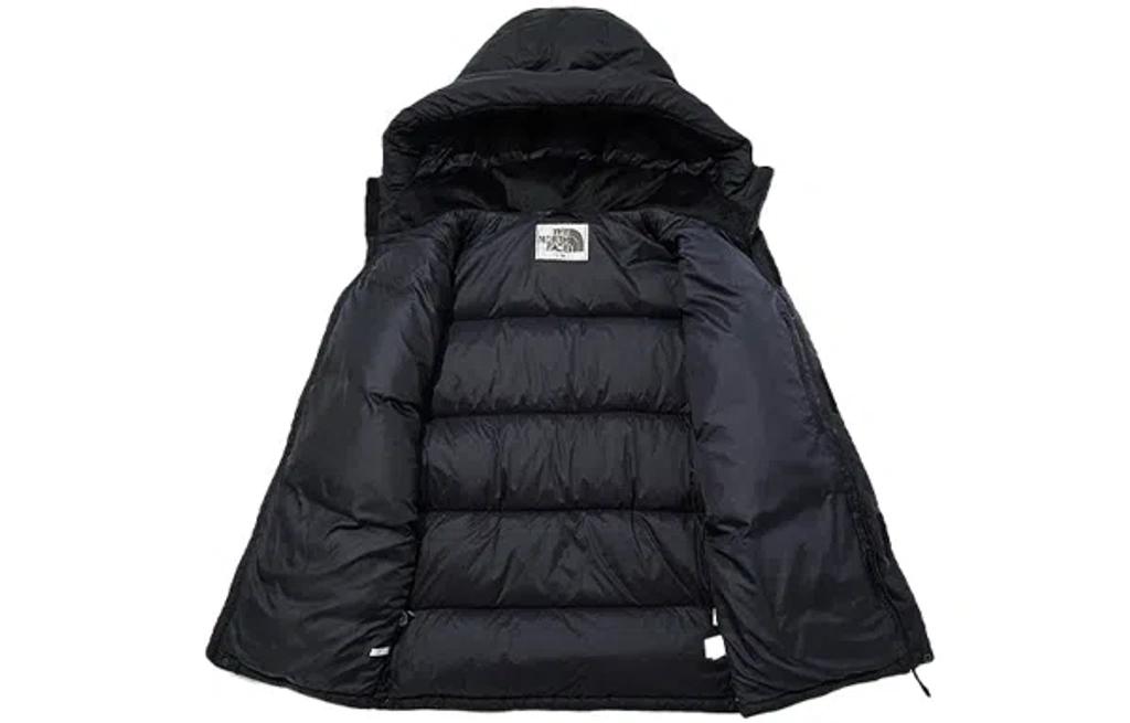 THE NORTH FACE Lightweight Insulated Down Jacket With High Collar In Black Product Image