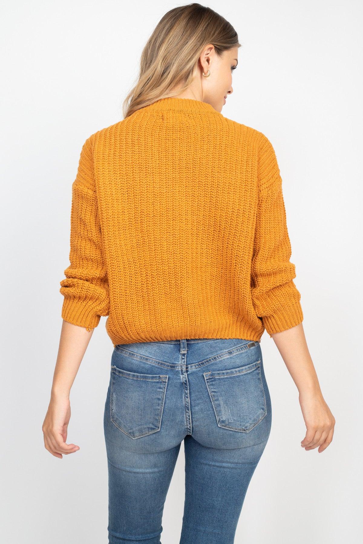 Camel Knit Sweater Top Product Image