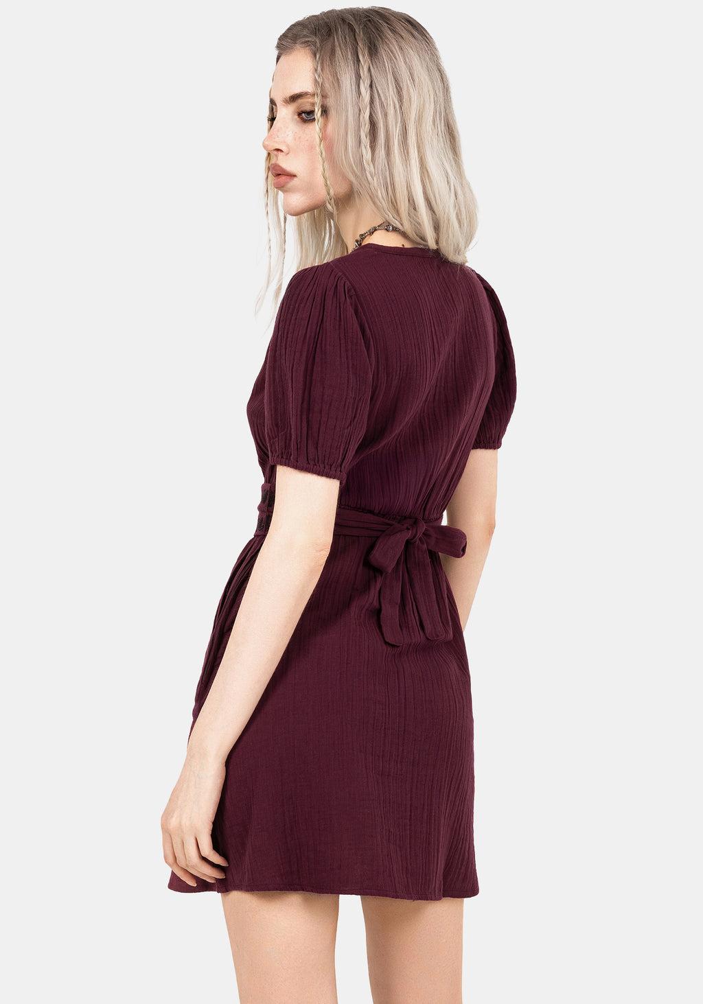 Poultice Embroidered Cotton Mini Dress Product Image