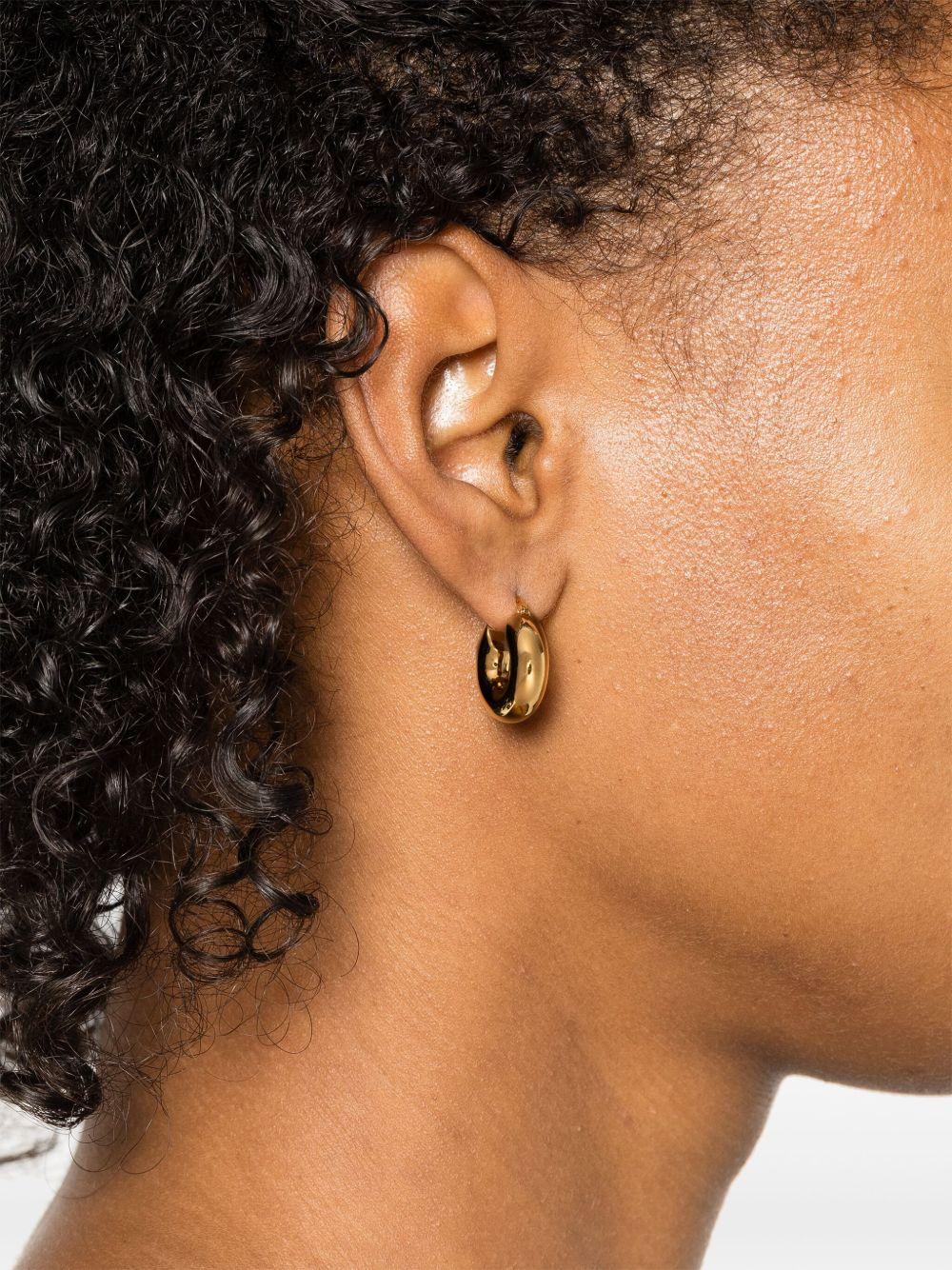 hoop earrings  Product Image