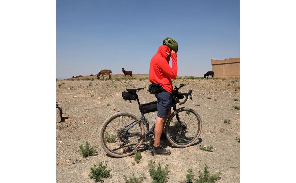 Hoja Hybrid Shorts M Product Image