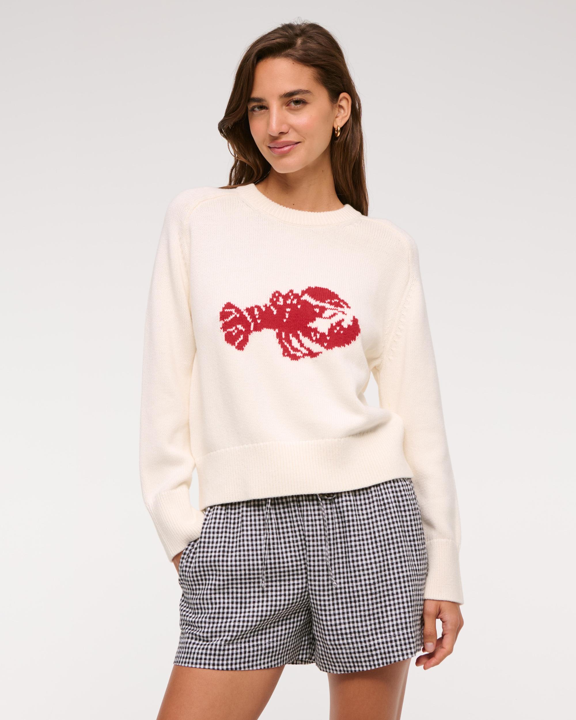 The A&F Madeline Crew Sweater Product Image