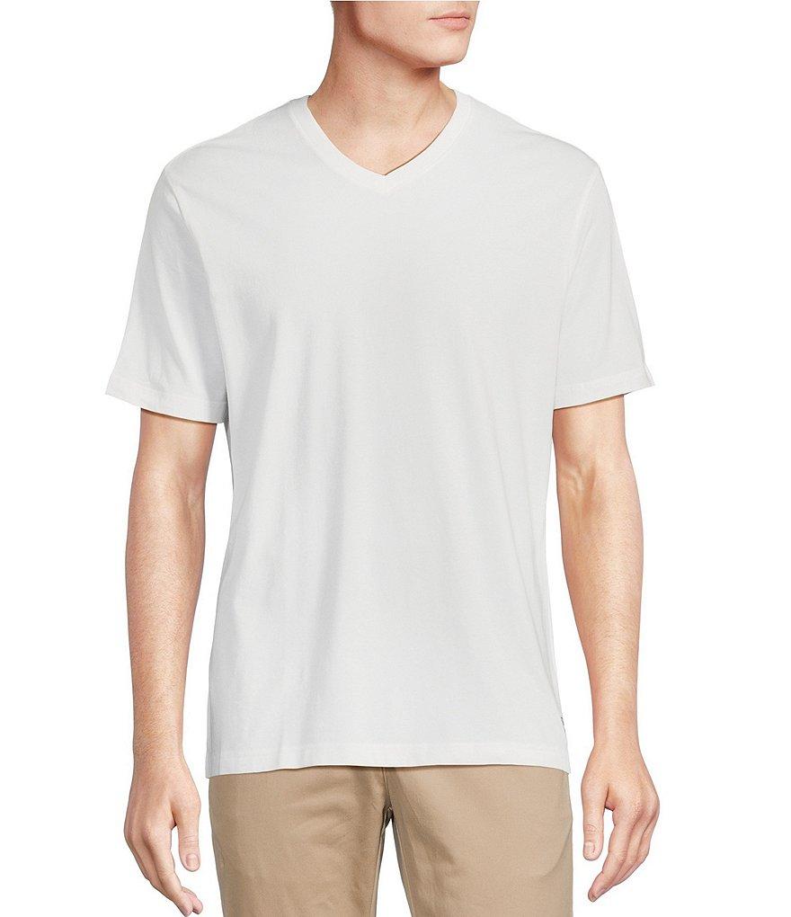 Cremieux Blue Label Jersey Knit Short Sleeve V-Neck T-Shirt Product Image