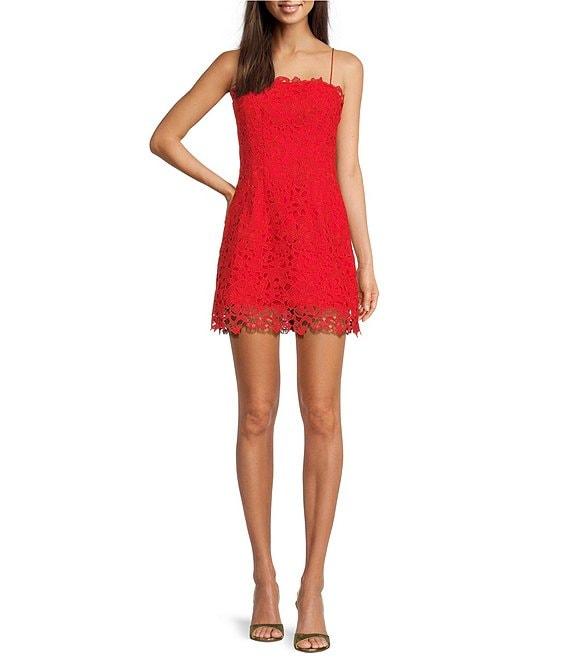 Muse by Marchesa Begonia Lace Square Neck A-Line Dress Product Image