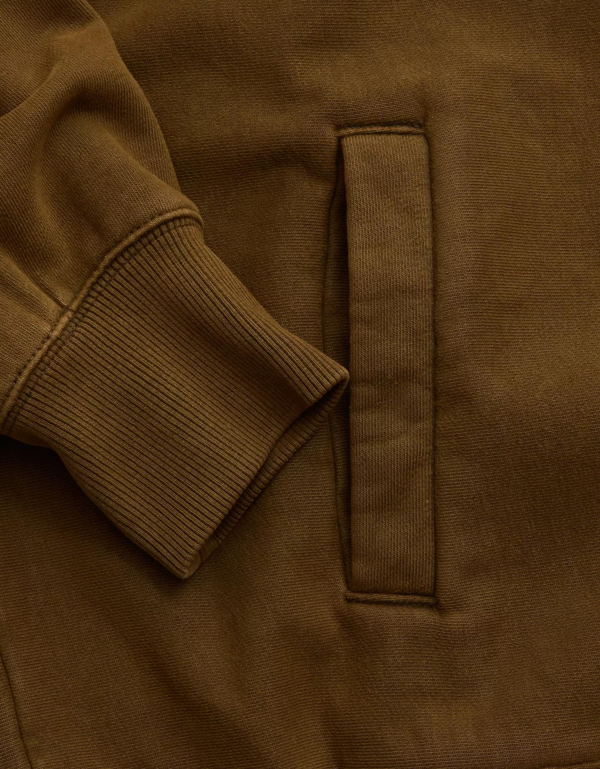 AE77 Premium Cropped Hoodie Product Image