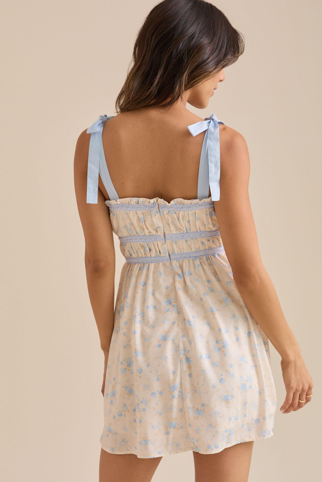 Annabelle Mini Dress Product Image