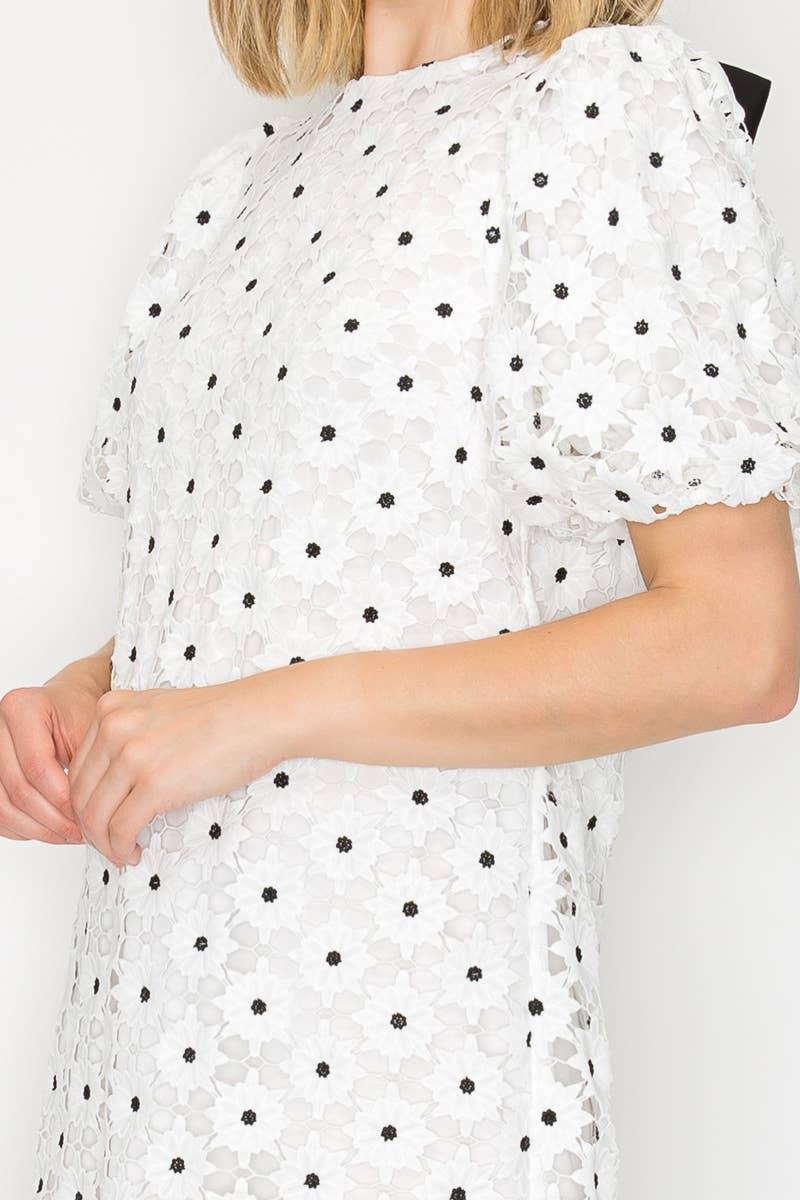 Daisy Polka Dot Lace Mini Dress Product Image