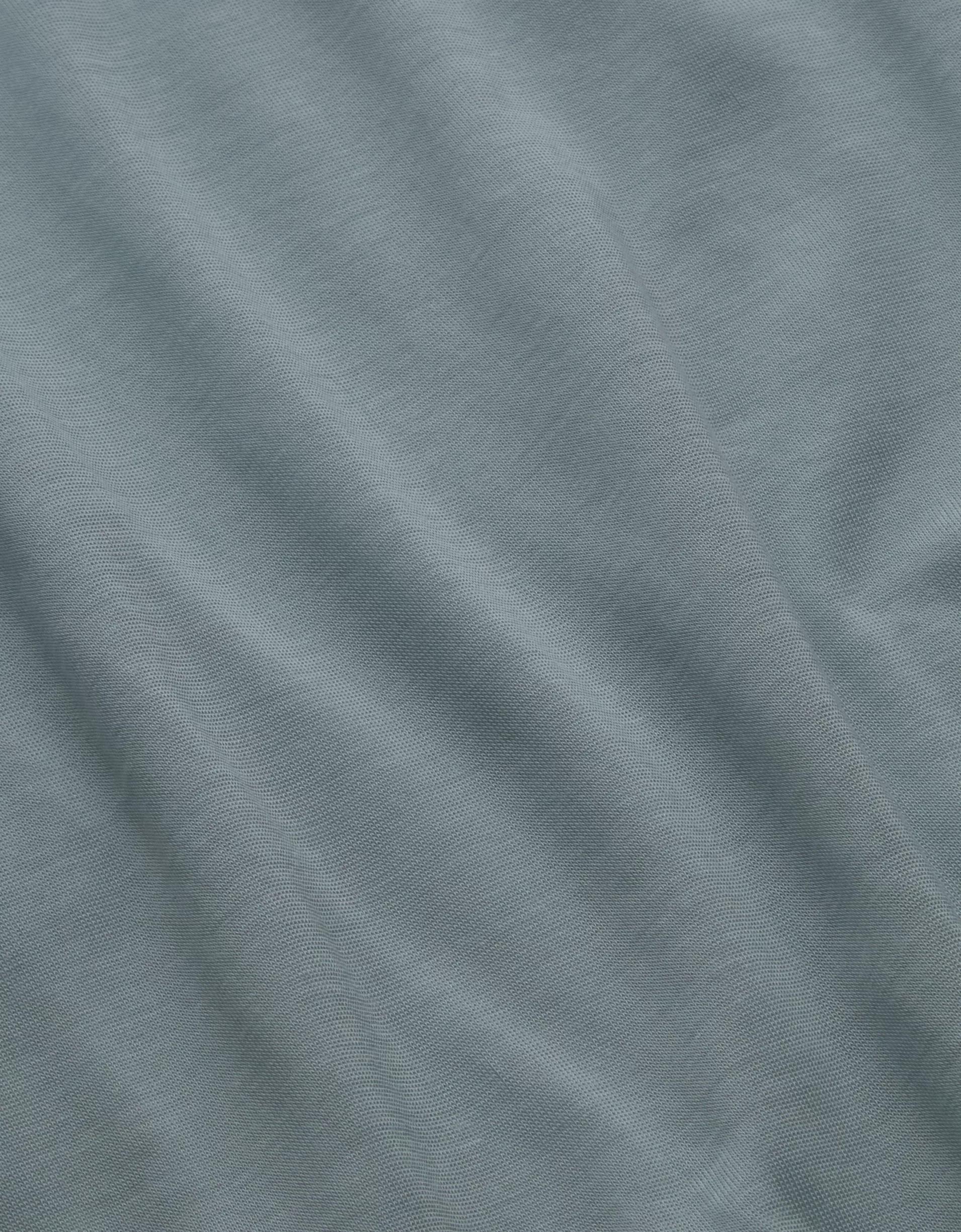 AE77 Premium Sheer T-Shirt Product Image