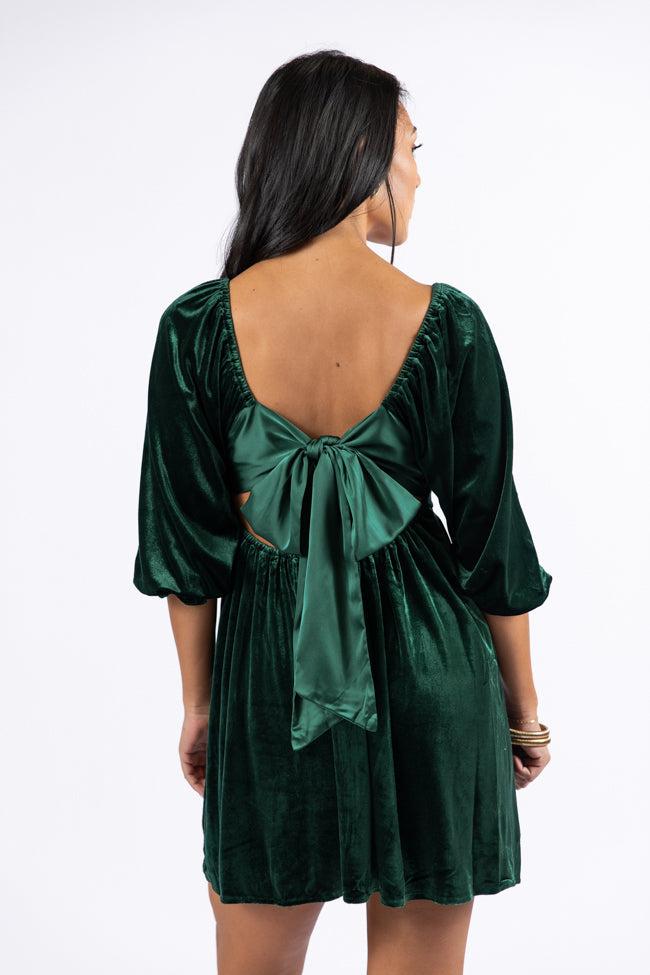 Evergreen Beauty Velvet Dress FINAL SALE Product Image