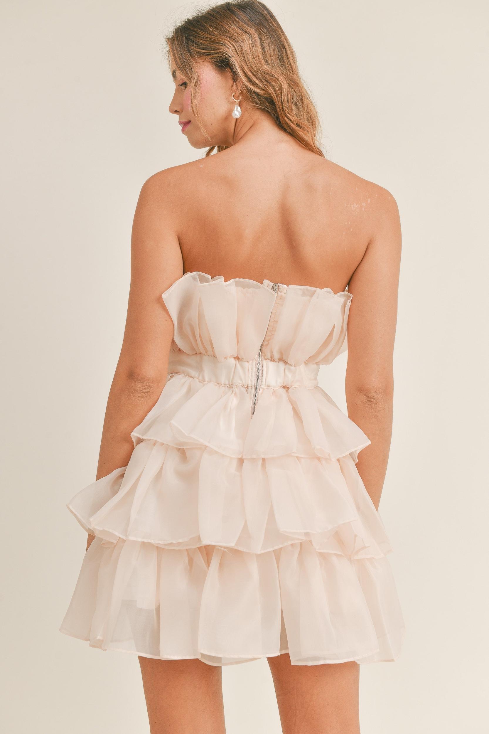 Organza Tulle Tiered Mini Dress Product Image