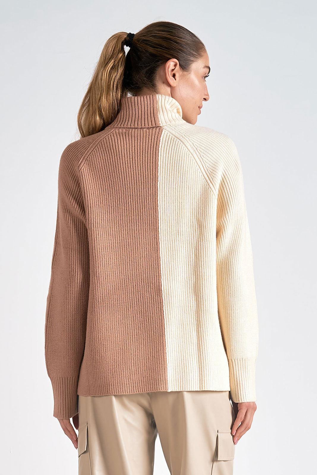 Colorblock Turtleneck Product Image