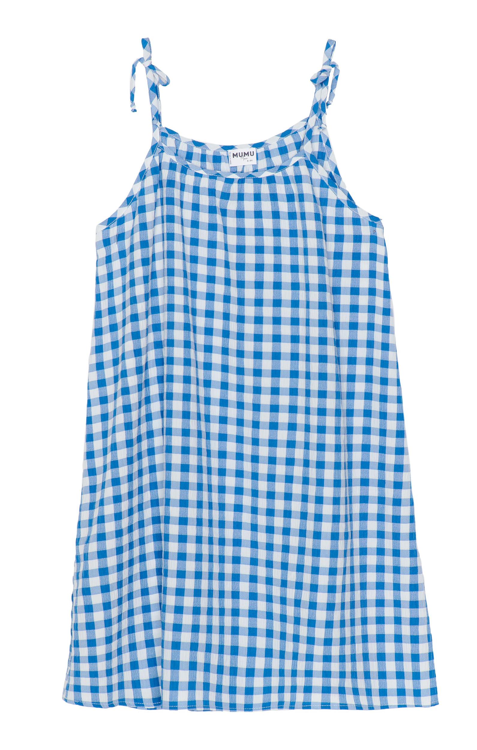 Sidekick Dress ~ Blue Bounty Gingham Kids Product Image