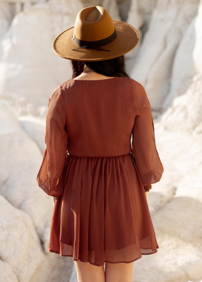 Ani Dress in Rust Female Product Image