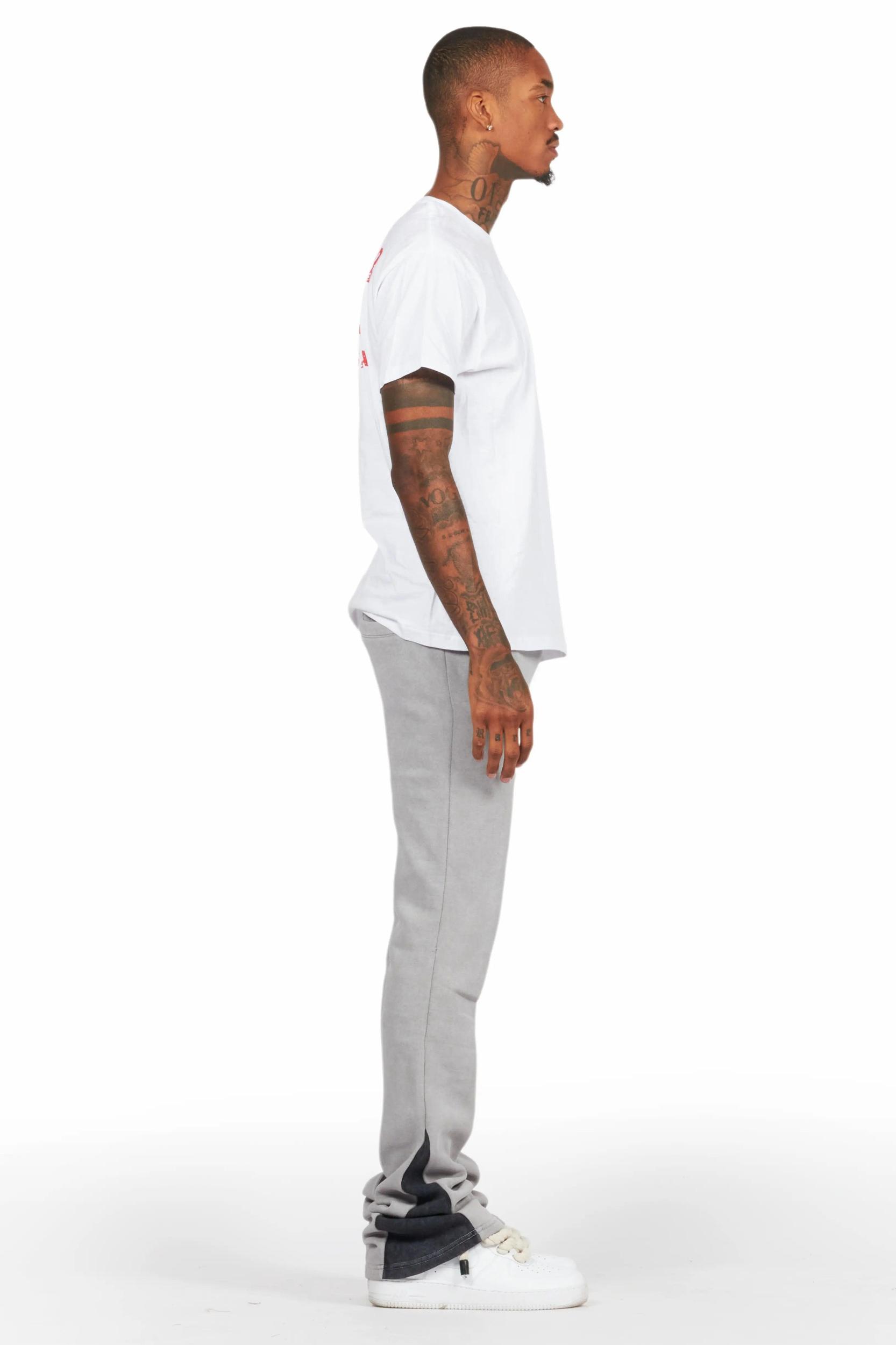 Alpine Vintage Grey Baggy Pant Male Product Image