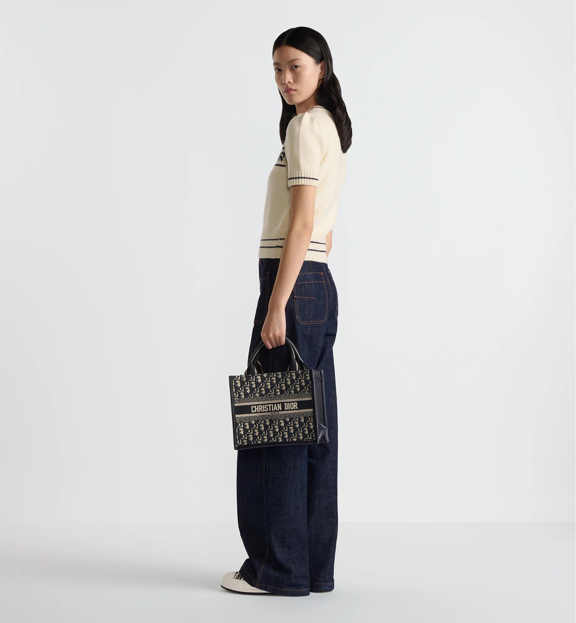 Small Dior Book Tote Product Image