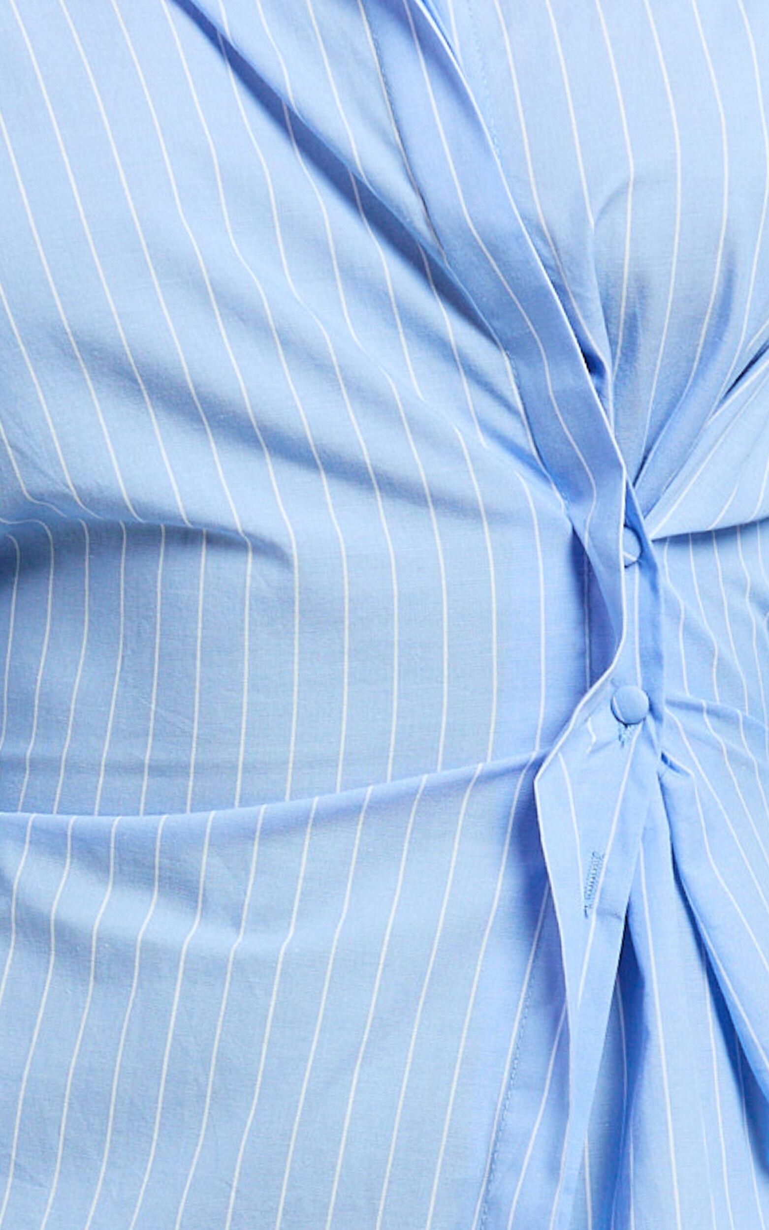 Sanya Mini Dress - Cinched Waist Stripe Dress in Blue Product Image