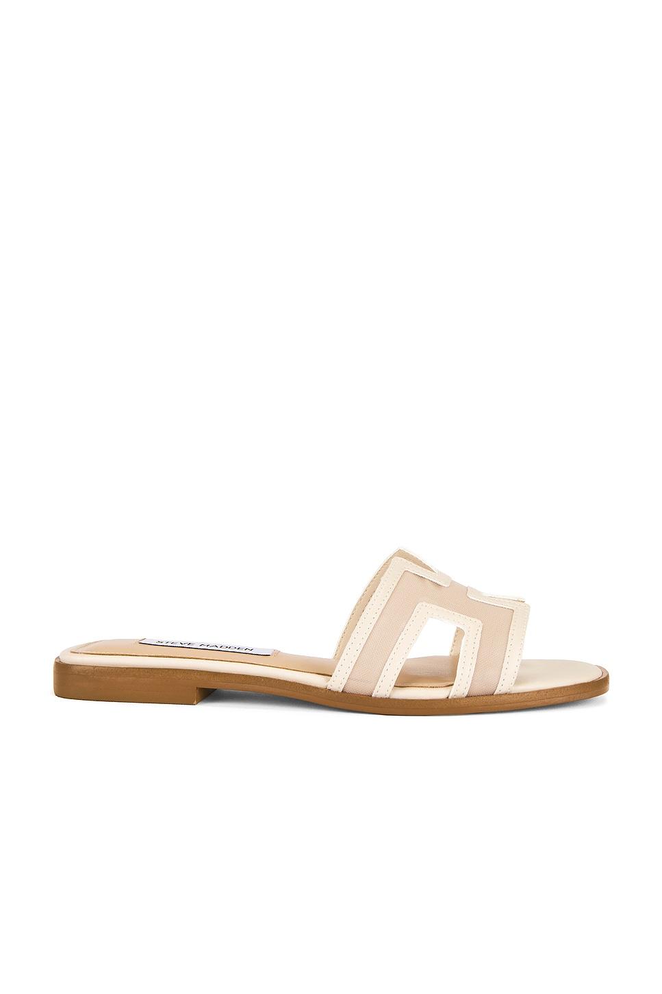 Hadyn Mesh Sandal Steve Madden Product Image