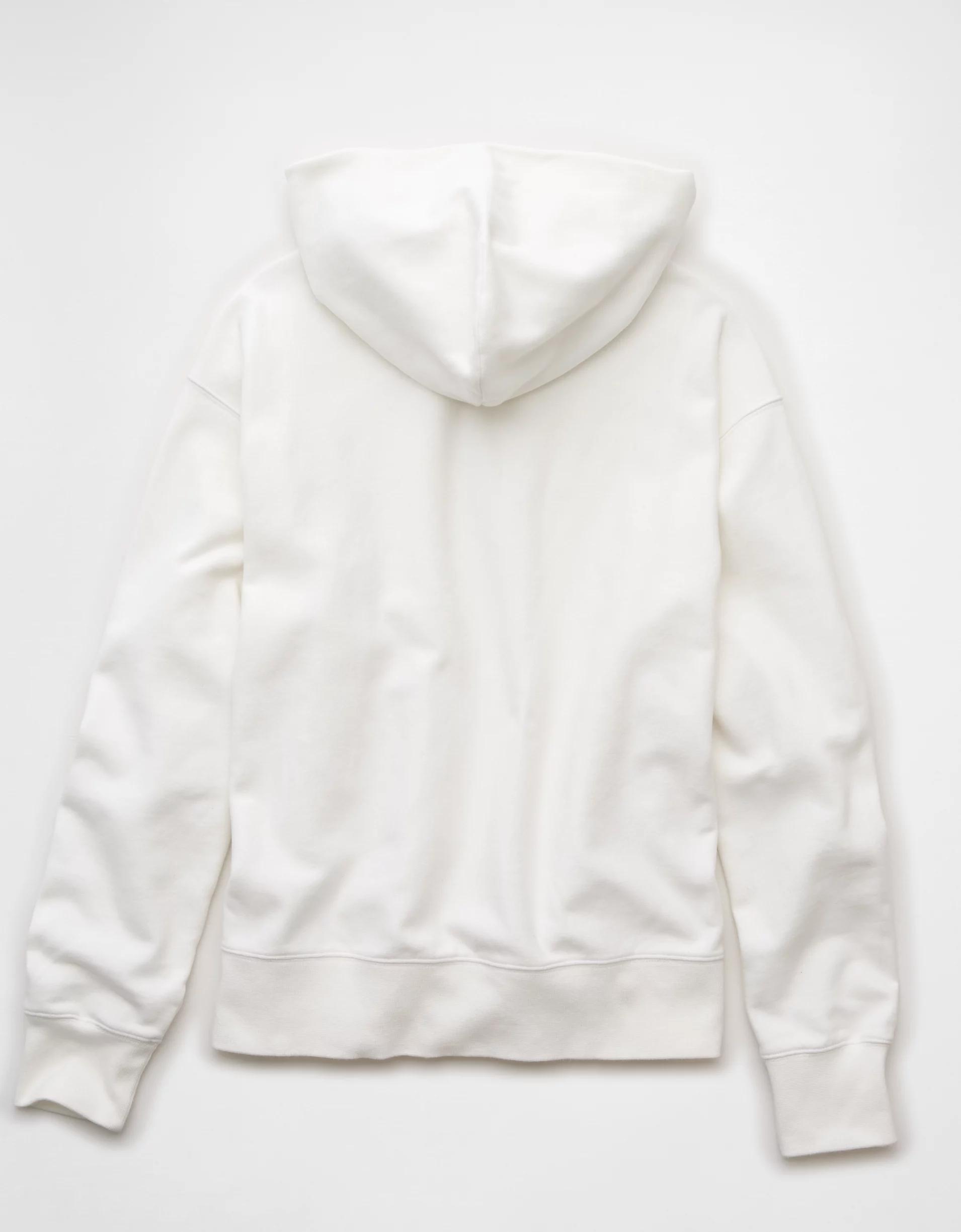 AE Laidback Luxe Heavyweight Hoodie Product Image