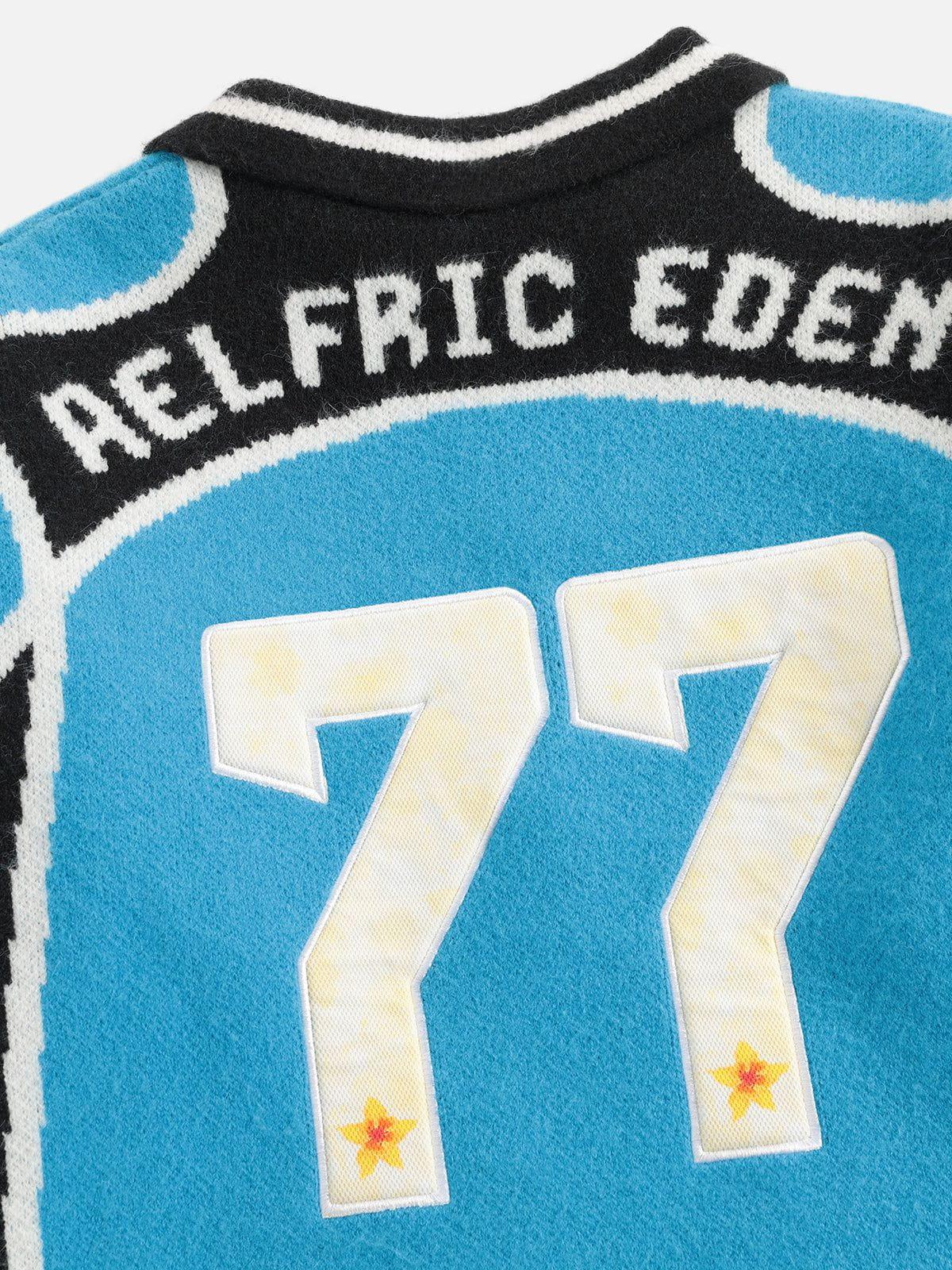 Aelfric Eden Floral 77 Color Blocking Polo Sweater Product Image