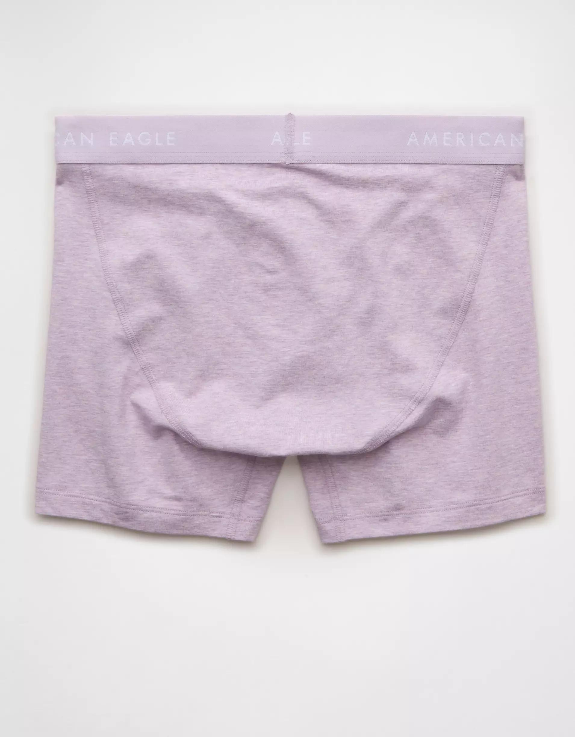 AEO Men's 4.5" Classic Boxer Brief Product Image