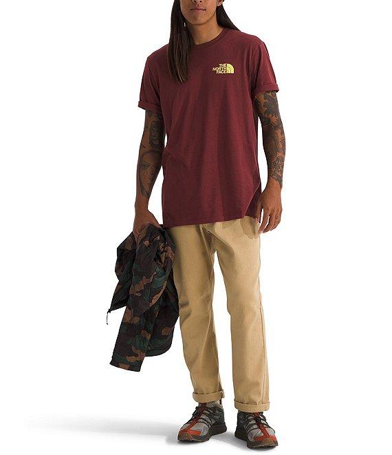 The North Face Short Sleeve Public Lands Cactus Graphic T-Shirt Product Image