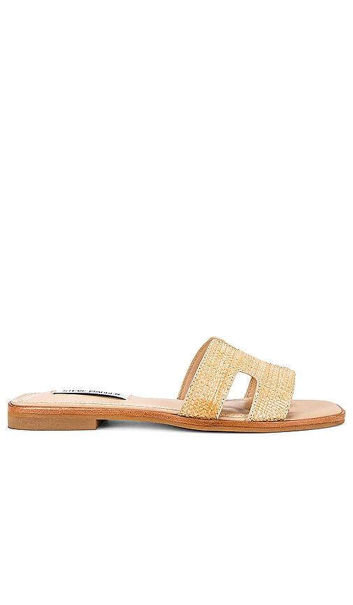 Hadyn Sandal Steve Madden Product Image