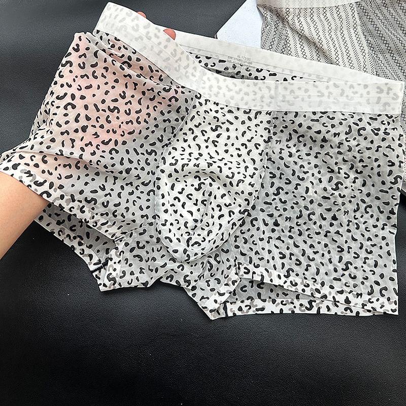 Pattern Boxer Brief / Set Product Image