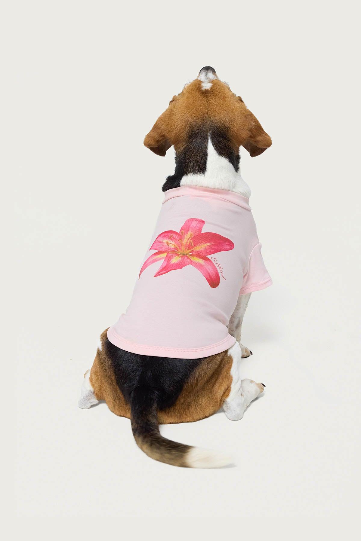 Daylily Pet T Shirt Product Image