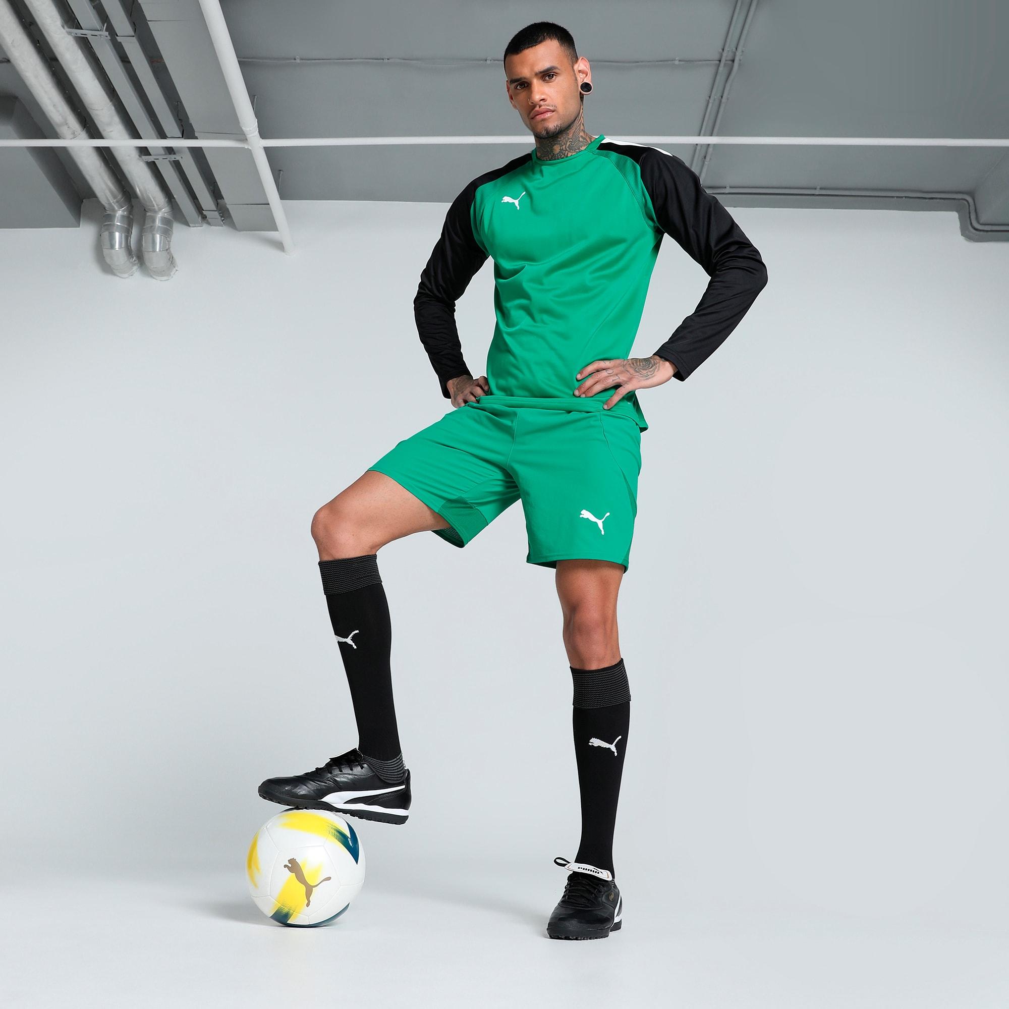 teamFINAL Men's Soccer Shorts Product Image