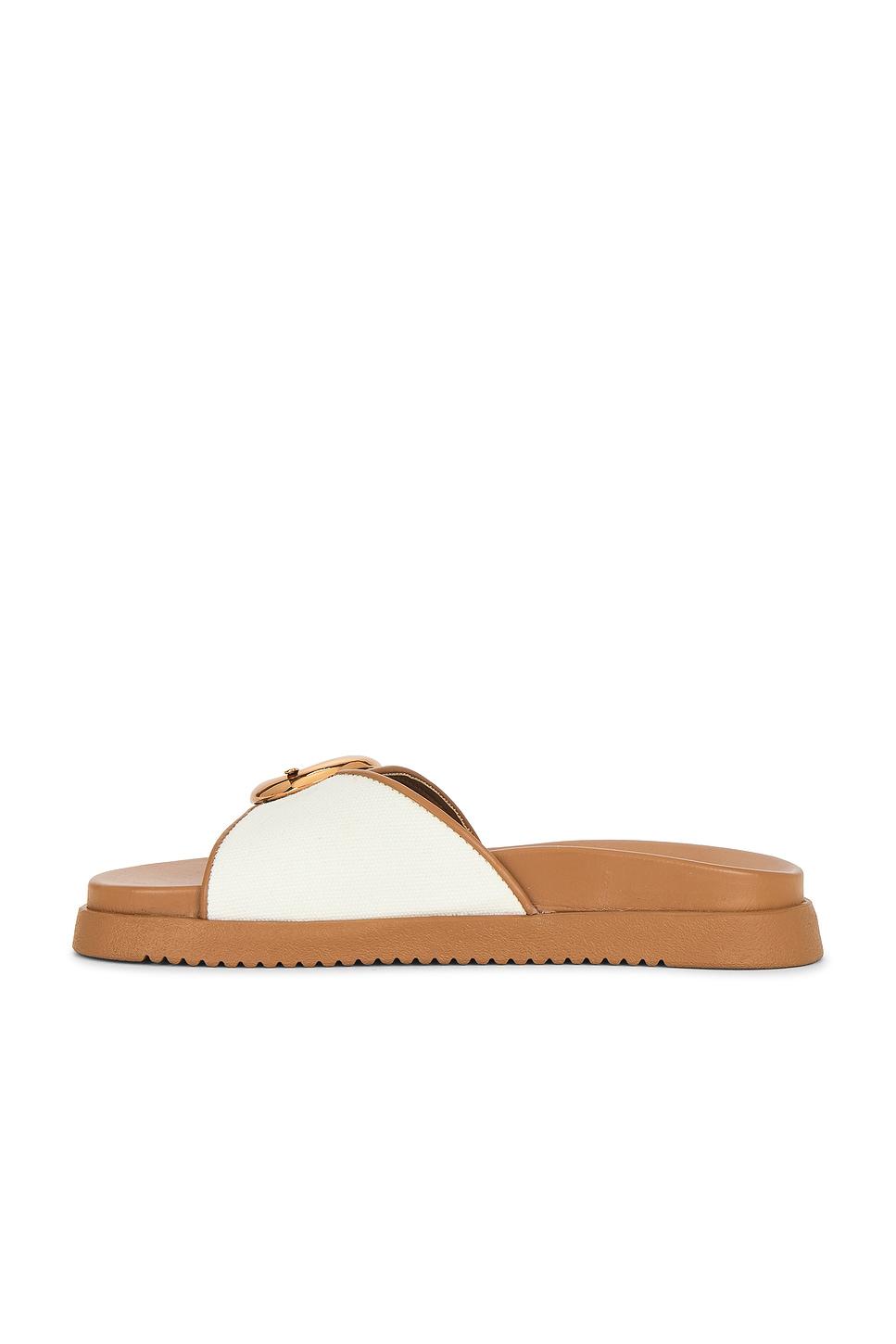 Mandie Slides Steve Madden Product Image