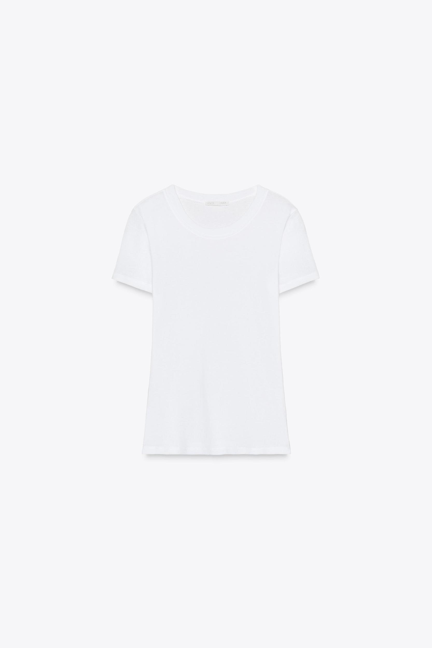 SHORT SLEEVE COTTON T-SHIRT Product Image