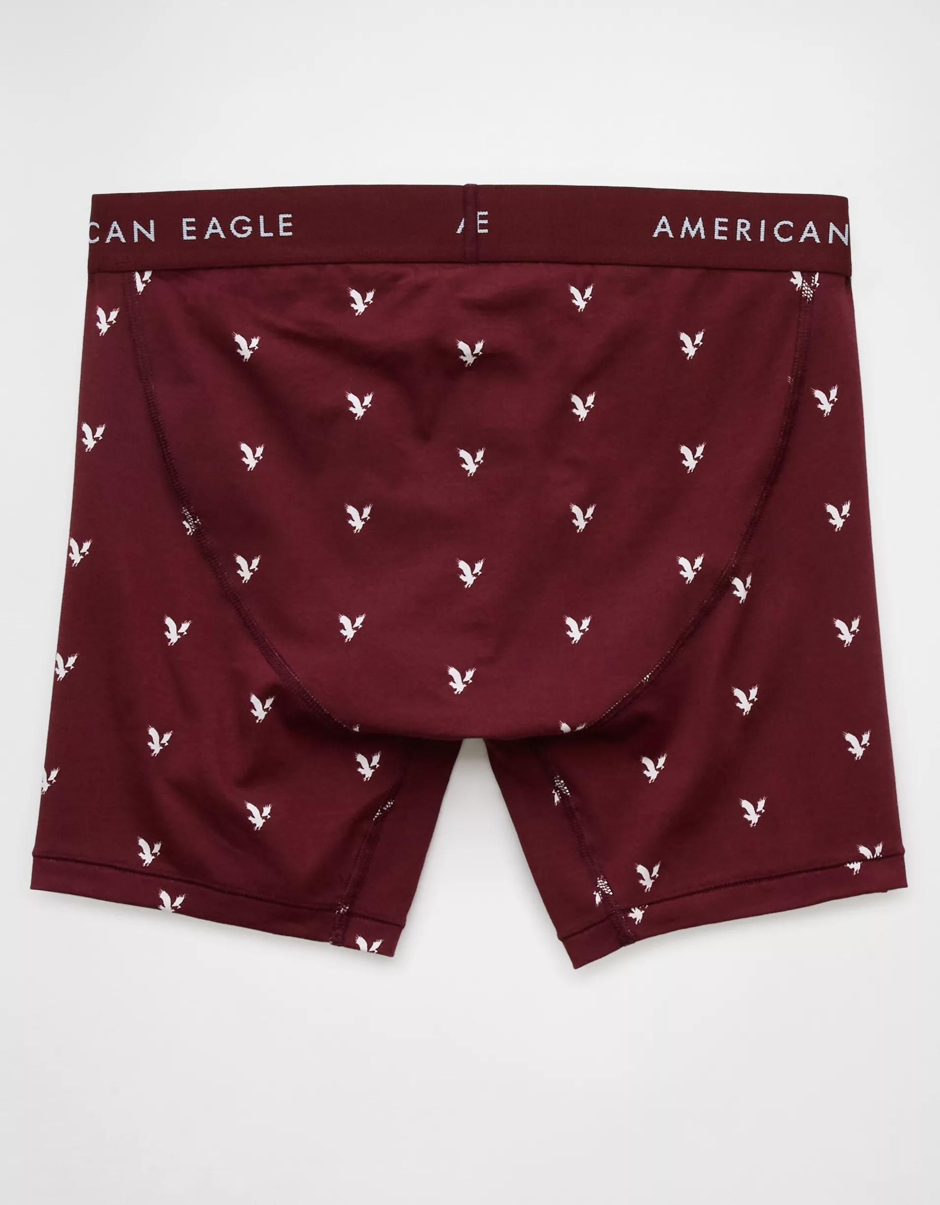 AEO Men's Cherries 6" Classic Boxer Brief Product Image