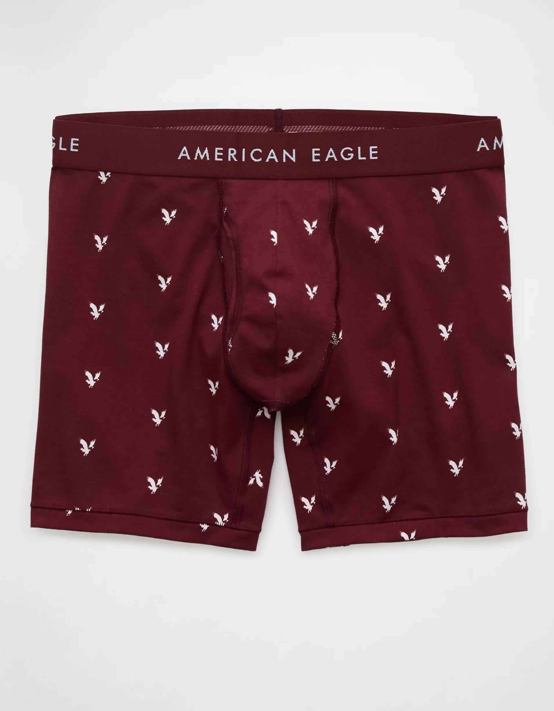 AEO Men's Cherries 6" Classic Boxer Brief Product Image