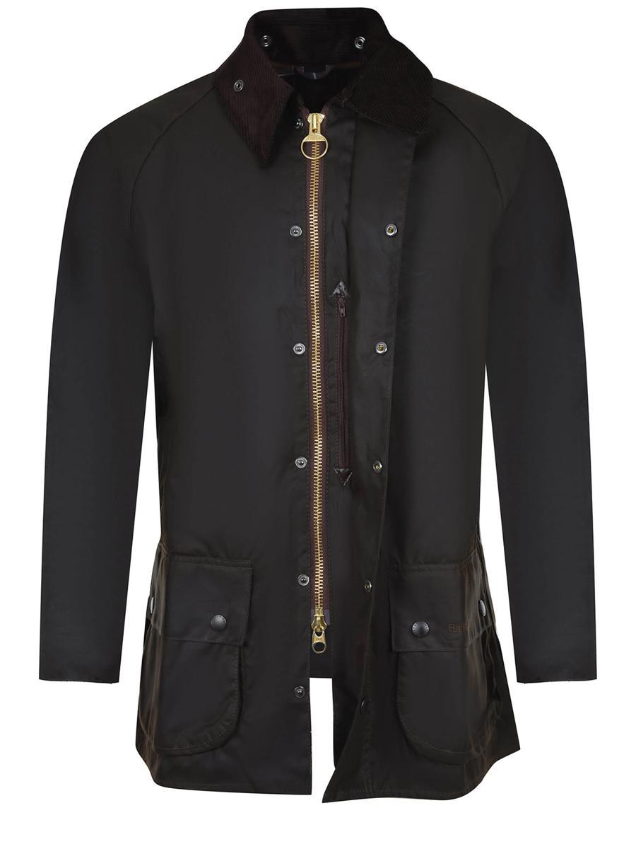 Ashby cotton jacket Product Image