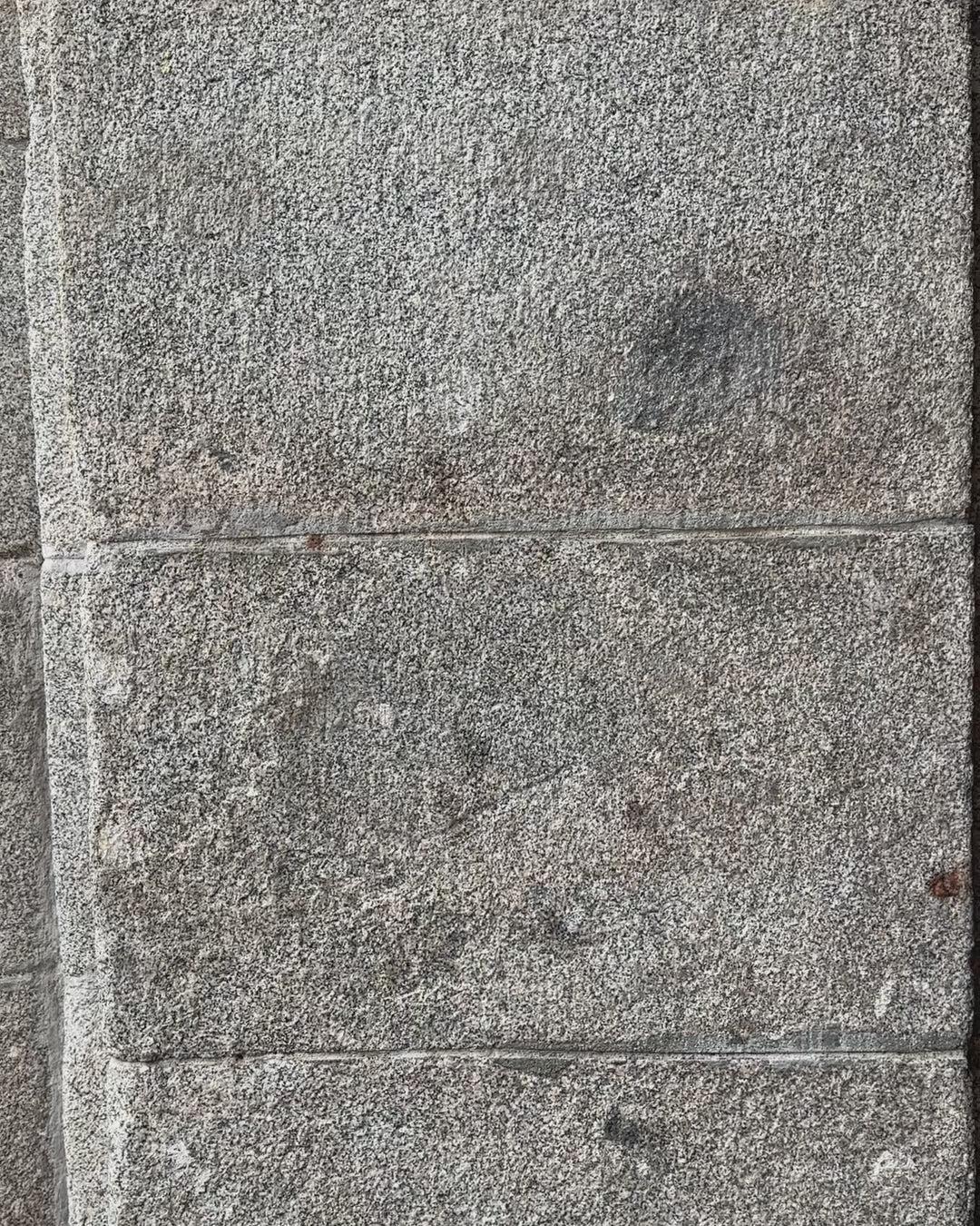 Lilly Cami In Washed Silk Product Image