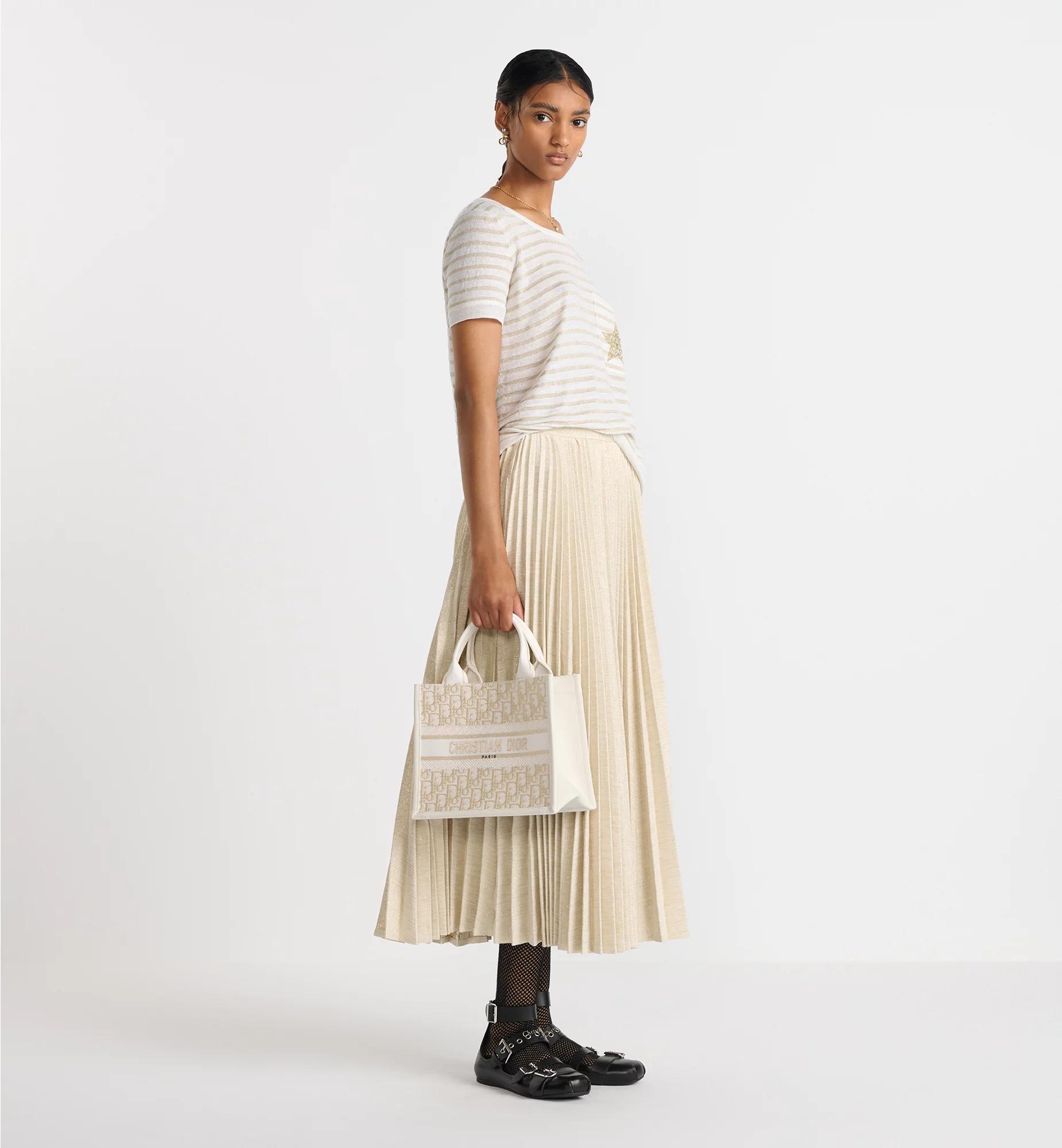 Small Dior Book Tote Product Image