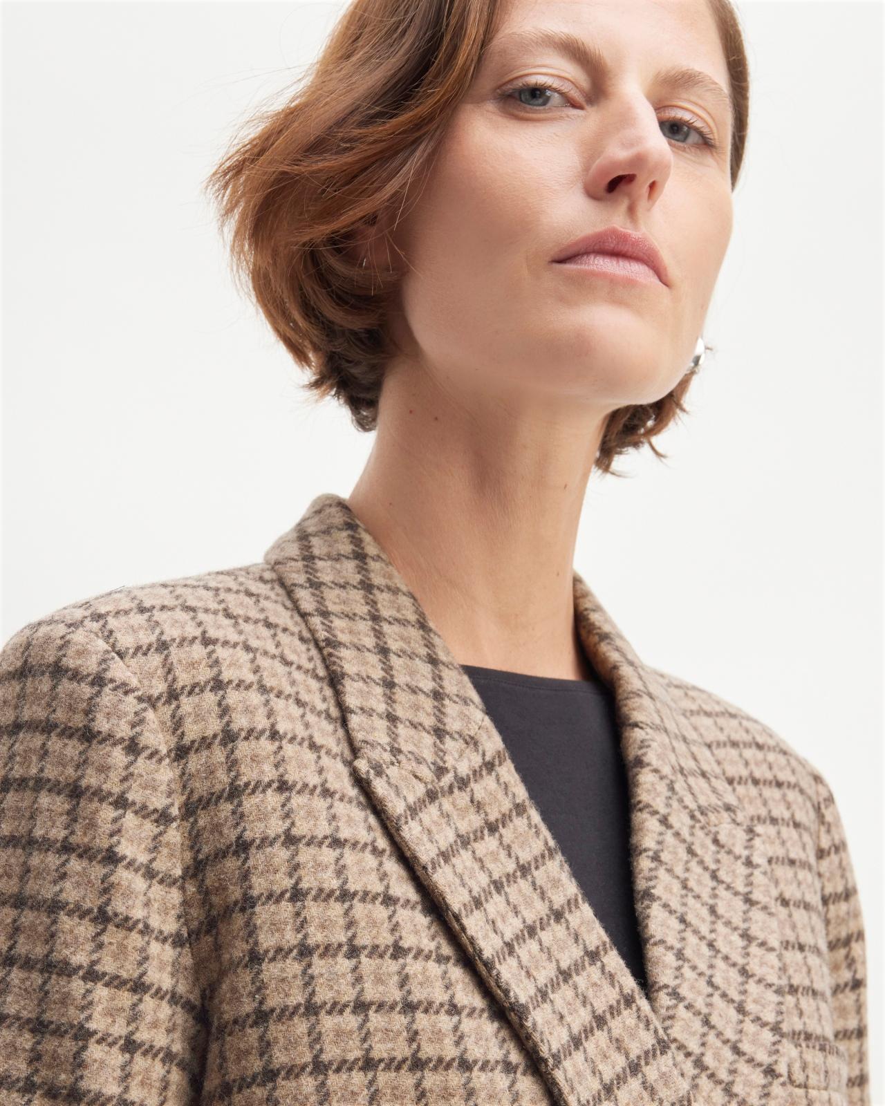 Womens ReWool Double-Breasted Blazer by Everlane Product Image