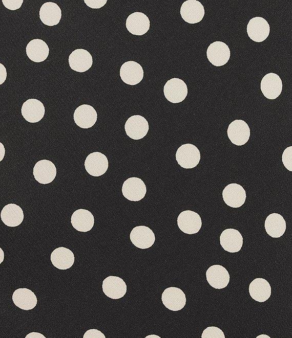 Rumored Polka Dot Mini Skirt Product Image
