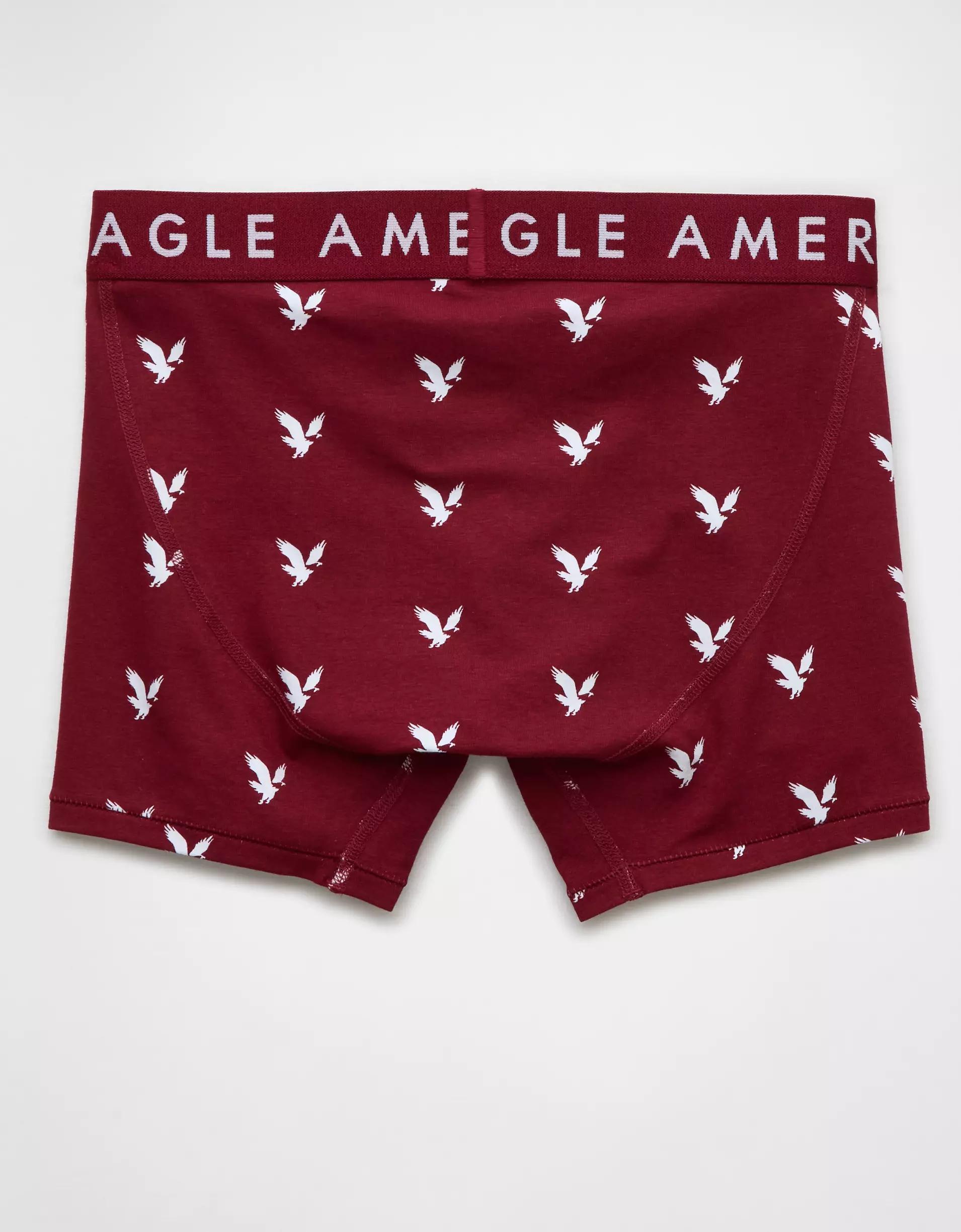 AEO Men's 4.5" Classic Boxer Brief Product Image