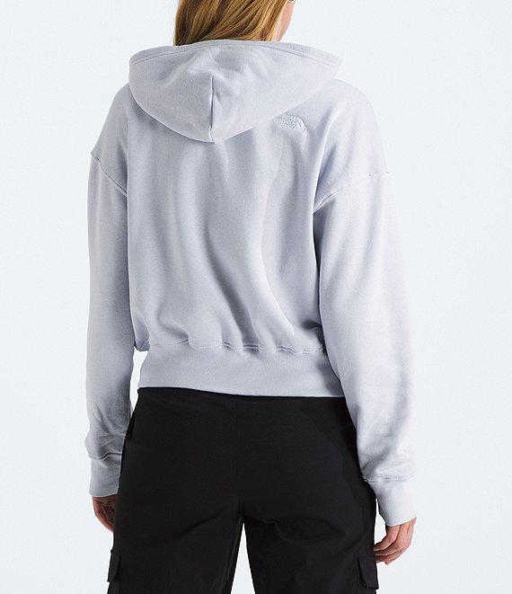 The North Face Evolution Full Zip Long Sleeve Hoodie Product Image