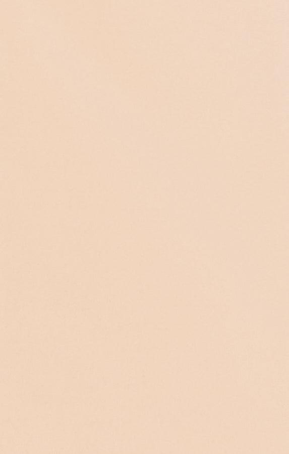 Bridesmaid Fabric Swatch ~ Champagne Stretch Product Image