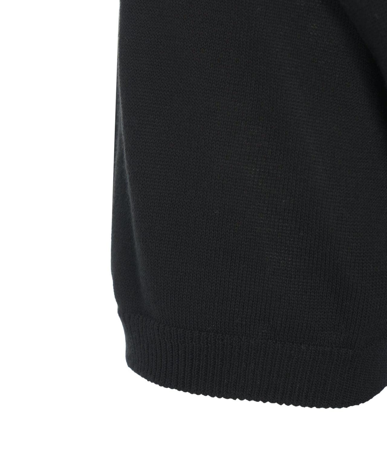 Knitted polo shirt Product Image