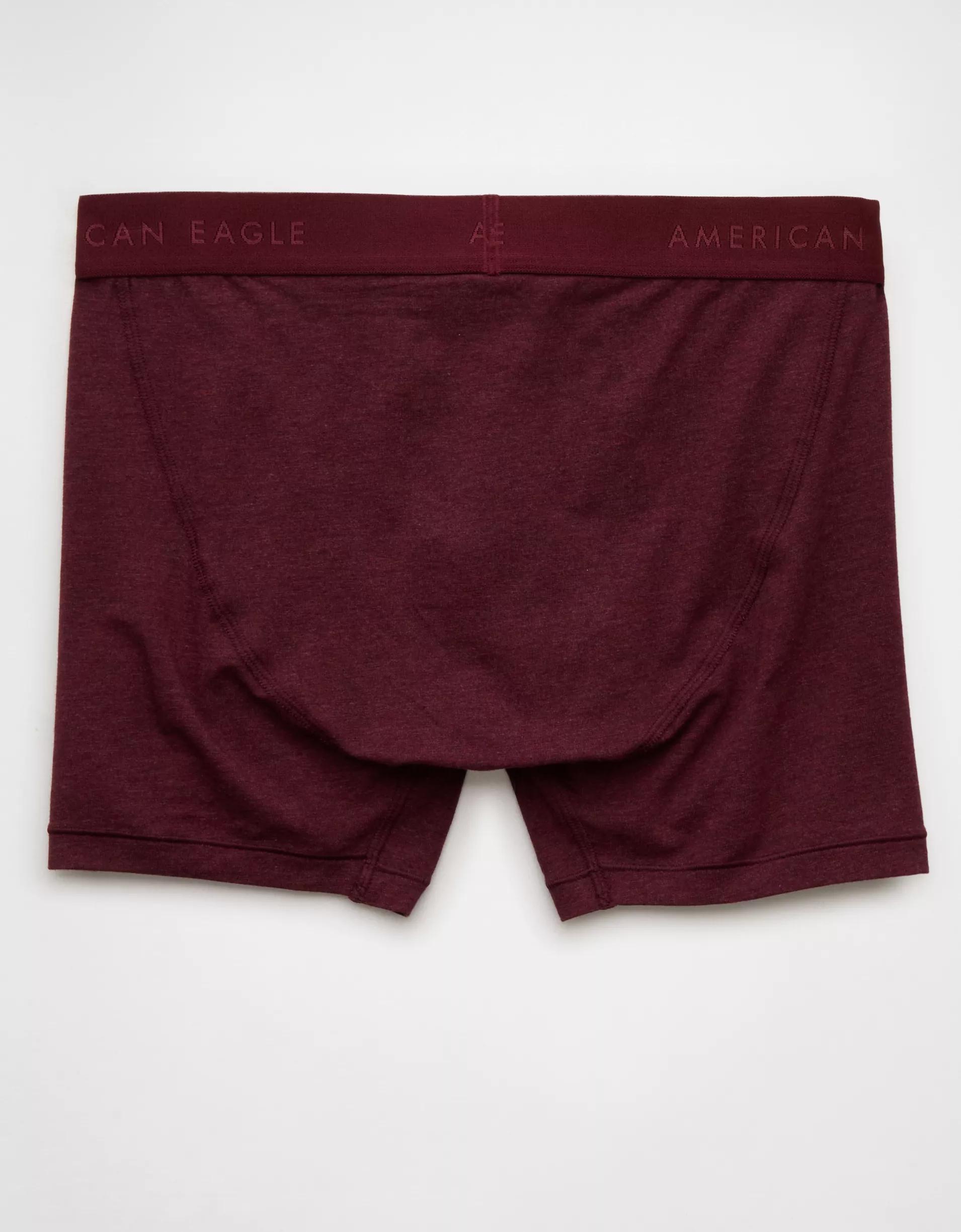 AEO Men's 4.5" Classic Boxer Brief Product Image