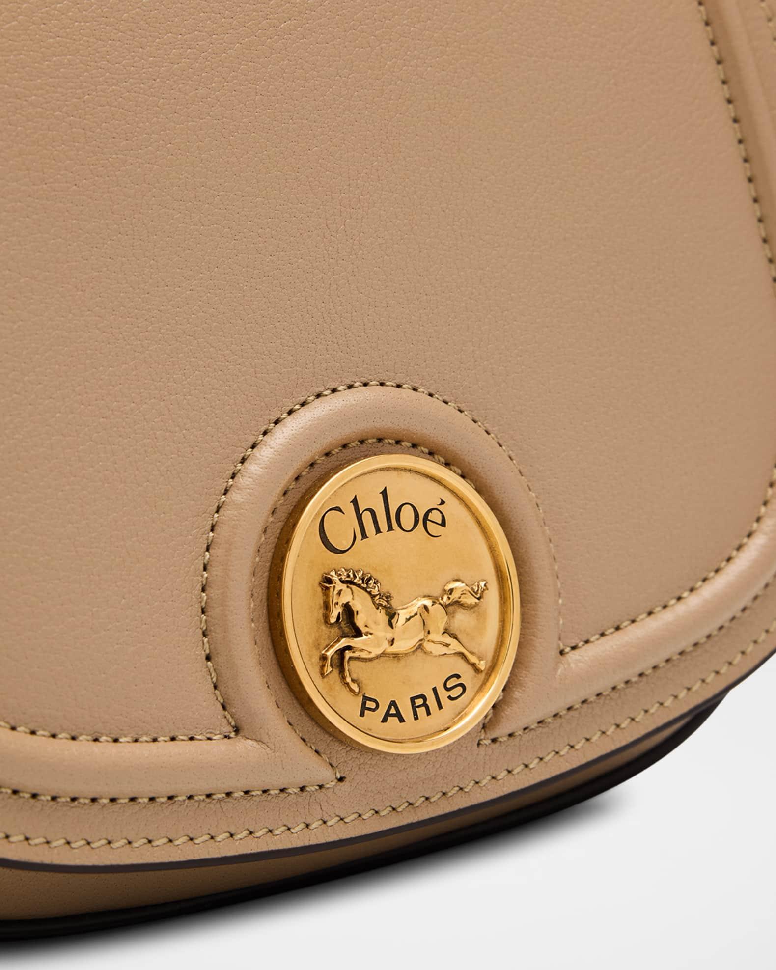 Horse Medal Saddle Crossbody Bag in Grained Leather Product Image