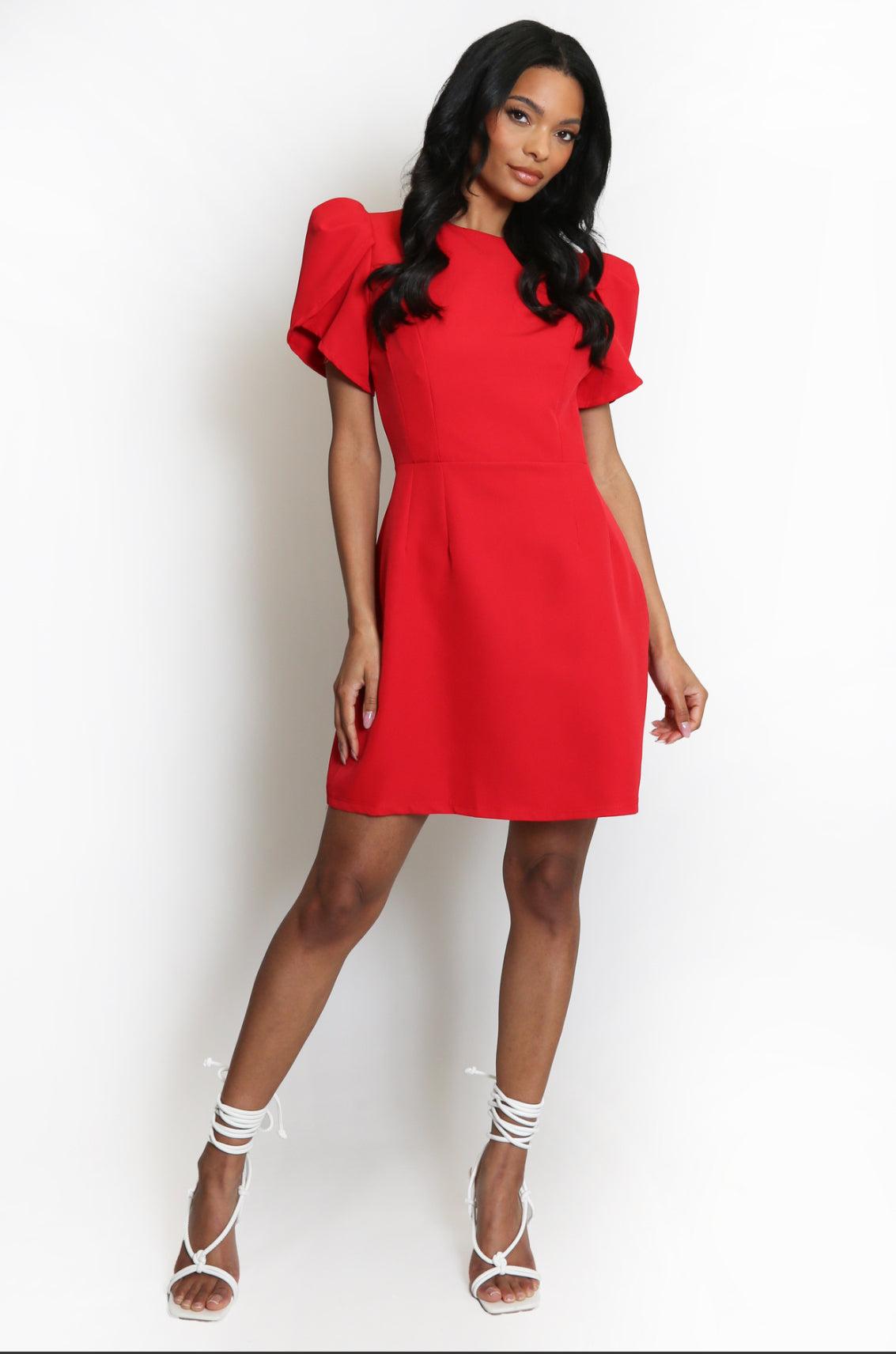 JOBELLE MINI DRESS Product Image