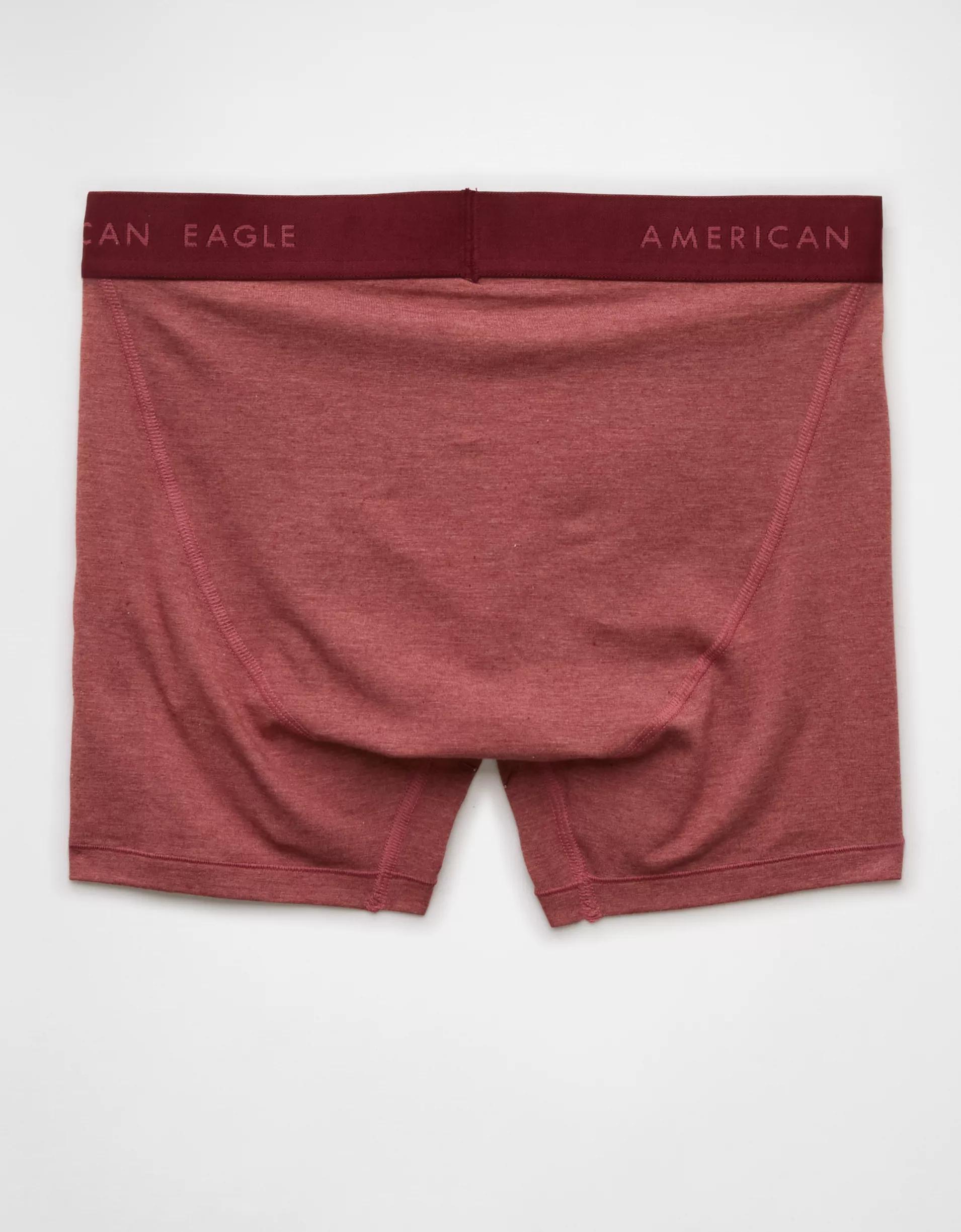 AEO Men's 4.5" Classic Boxer Brief Product Image