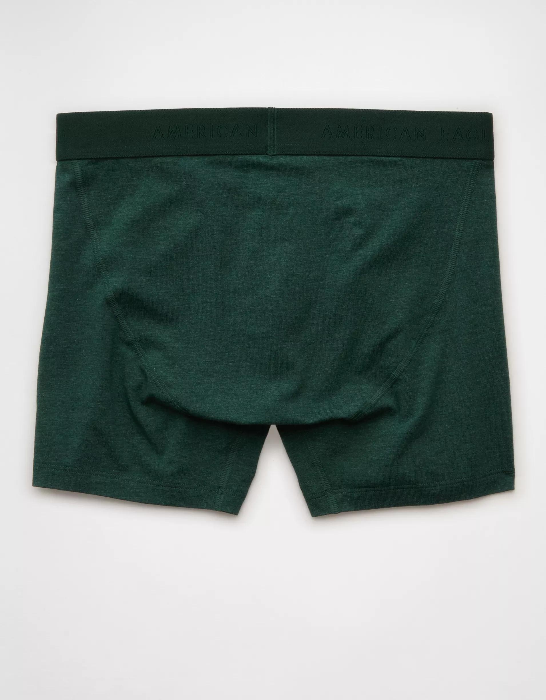AEO Men's 4.5" Classic Boxer Brief Product Image