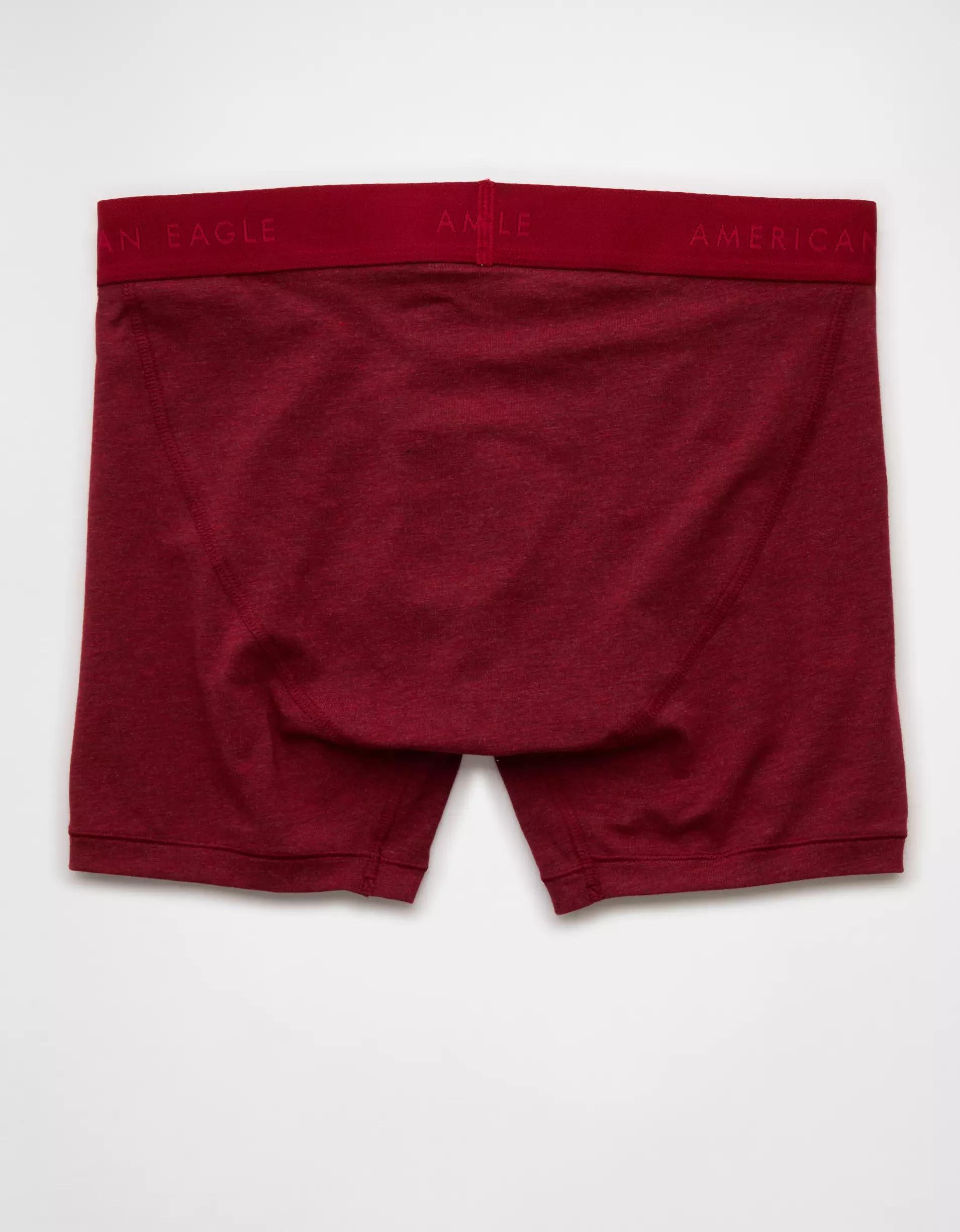AEO Men's 4.5" Classic Boxer Brief Product Image